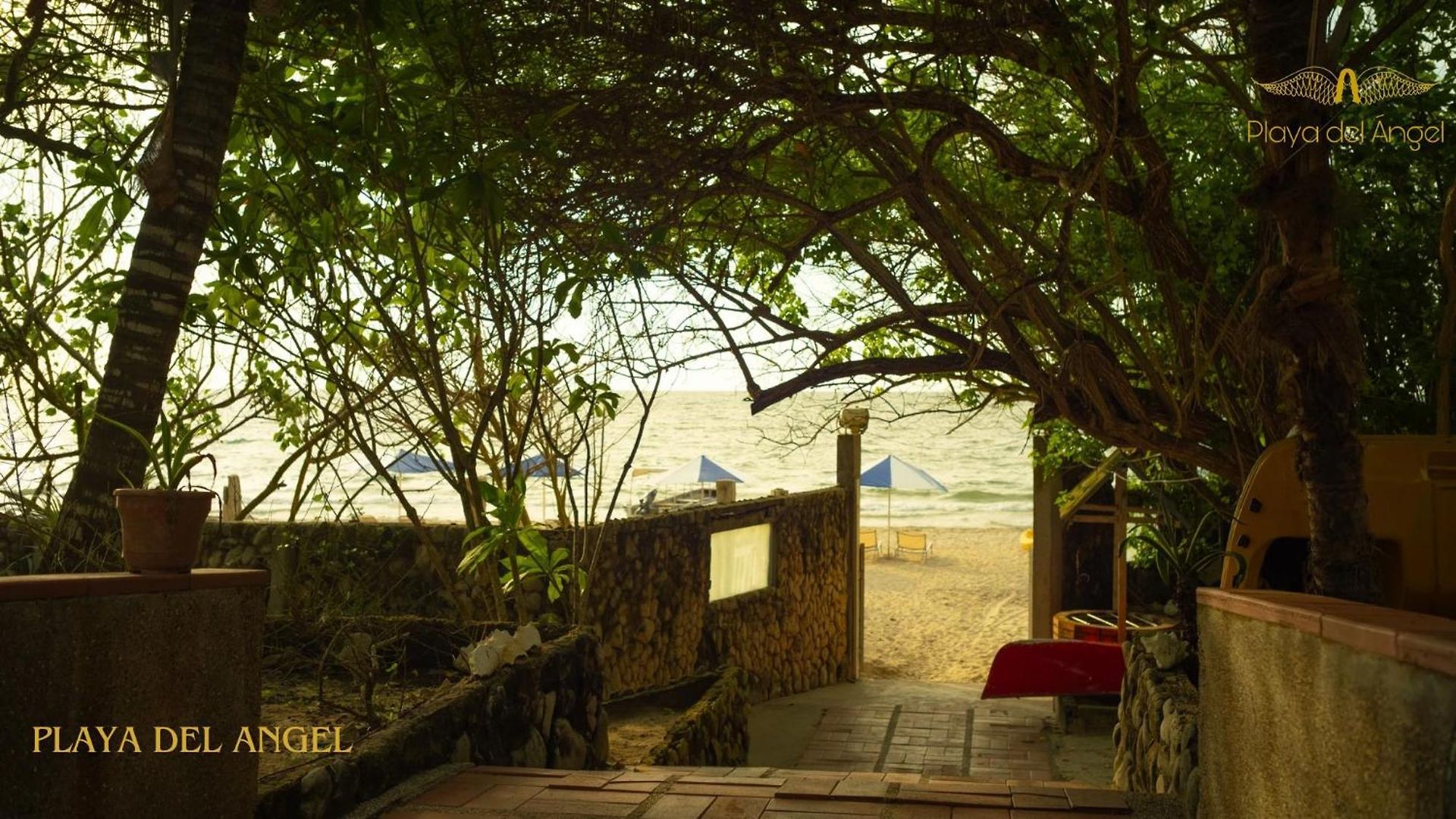 Playa Del Angel