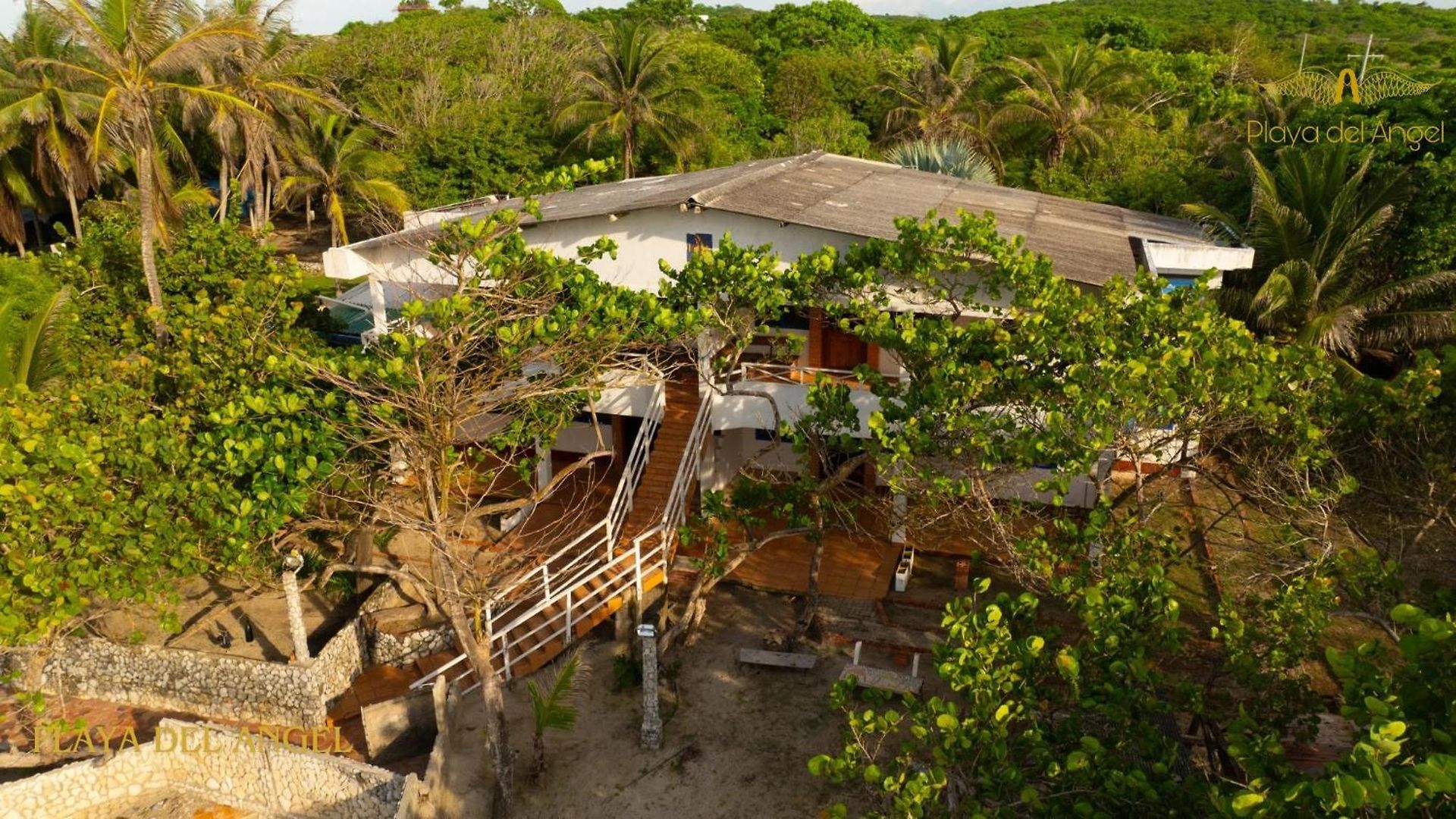 Playa Del Angel Resort *